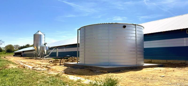 SBS-Group-LinkedIn 11 10Harnessing Rain for a Sustainable Future: The Growing Importance of Rainwater HarvestingGeneral